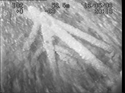 Thumbnail of Side view of engine assembly and mounting of engine 1, photomosaic image 3; still from video