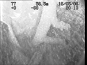 Thumbnail of Side view of engine assembly and mounting of engine 1, photomosaic image 7; still from video