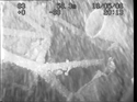 Thumbnail of Side view of engine assembly and mounting of engine 1, photomosaic image 9; still from video