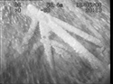 Thumbnail of Side view of engine assembly and mounting of engine 1, photomosaic image 10; still from video