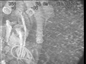 Thumbnail of Engine detail; still from video