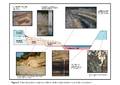 Thumbnail of 08Figure 