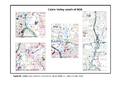 Thumbnail of 55Figure 