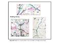 Thumbnail of 57Figure 