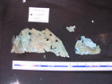 Thumbnail of UNID2004F9a.JPG