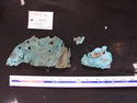 Thumbnail of UNID2004F9b.JPG
