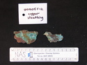 Thumbnail of UNID2005F12.JPG