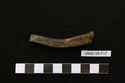 Thumbnail of UNID2006F17.JPG