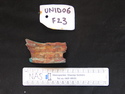 Thumbnail of UNID2006F23b.JPG