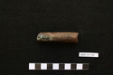 Thumbnail of UNID2009F28.JPG
