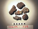 Thumbnail of UNID2009F29a.JPG
