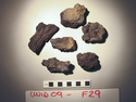 Thumbnail of UNID2009F29b.JPG