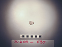 Thumbnail of UNID2009F30a.JPG