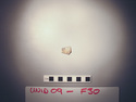 Thumbnail of UNID2009F30b.JPG