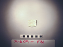 Thumbnail of UNID2009F31a.JPG
