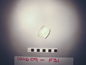 Thumbnail of UNID2009F31b.JPG