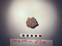 Thumbnail of UNID2009F34b.JPG