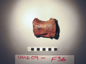 Thumbnail of UNID2009F36a.JPG