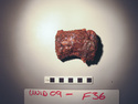 Thumbnail of UNID2009F36b.JPG