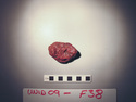 Thumbnail of UNID2009F38.JPG