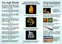 Thumbnail of NIAN leaflet: side two