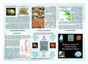 Thumbnail of Molluscs, Insects and Plant Fossils recognition sheet: side one
