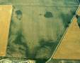 Thumbnail of SK9702_002
