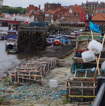 Image from England's North Sea Ports