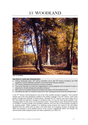 13 WOODLAND