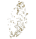 Thumbnail of IRREGGEOregion 
