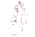 Thumbnail of REGGEOregion 