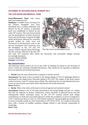 SAI 04-The Late Saxon and medieval town