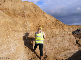 Recording a quarry section