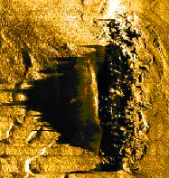 sonar_image