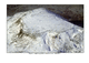 Thumbnail of PDF figure