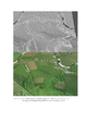 Thumbnail of PDF figure