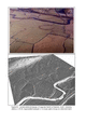 Thumbnail of PDF figure