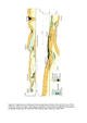 Thumbnail of PDF figure