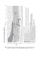 Thumbnail of PDF figure