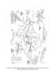 Thumbnail of PDF figure
