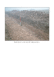 Click to view PDF file image