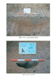 Click to view PDF file image