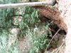 Thumbnail of PICT0059
