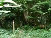 Thumbnail of PICT0017