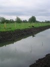 Thumbnail of 177 7761