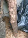 Thumbnail of 177 7771