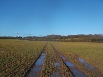 Image from Morton Wood (Morton Low Farm), Abbots Morton, Worcestershire (OASIS ID: stratasc1-214935)