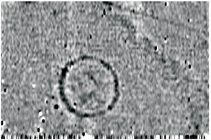 Geophysics results