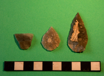 Arrowheads from project fieldwalking