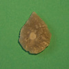 Thumbnail of Leaf Arrow Reverse Field 22
